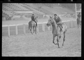 Fotografia "SWEEPSTAKE' Reportagem no Hip. Gávea, Grande Prêmio Brasil (Aprontos dos cavalos, 'Sing-Sing', 'Atramo', 'Cencerro' e 'Semillon' com vistas ao G.P. Brasil de 1963', Reportagem de Wilson Nascimento" ([Local n/d] , 1963) [negativo]. / Fotógrafo(a): Rodolpho.  -- ITEM-0038.