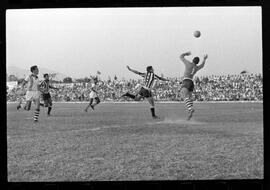 Fotografia "CAMPEONATO CARIOCA DE PROFISSIONAIS DE 1963' (1º TURNO) Jogo Botafogo x Campo Grande (2 x 0)" ([Local n/d] , 1963) [negativo]. / Fotógrafo(a): Demócrito; Ribeiro.  -- ITEM-0024.