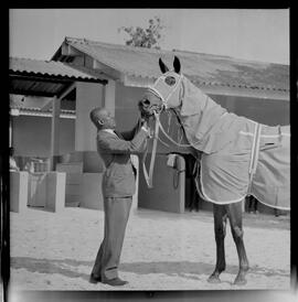 Fotografia "TURFE' TURFE HIPÓDRIMO DA GÁVEA (Carreiras), Reportagem de Senatore; Fontoura" ([Local n/d] , 1963) [negativo]. / Fotógrafo(a): Diniz Rodrigues.  -- ITEM-0001.