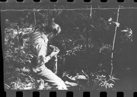 Fotografia "DESAPARECIMENTO DO MÉDICO NO PICO DE PAPAGAIO Família perdida na mata (Dr. Newto Batista dos Santos, que estava desaparecido com seus filhos Caio Cesar e Lia Lucia no Pico de Papagaio)" ([Local n/d] , 1963) [negativo]. / Fotógrafo(a): Adyr; Rodolpho.  -- ITEM-0014.