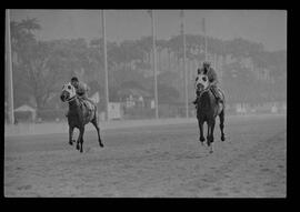 Fotografia "SWEEPSTAKE' Reportagem no Hip. Gávea, Grande Prêmio Brasil (Aprontos dos cavalos, 'Sing-Sing', 'Atramo', 'Cencerro' e 'Semillon' com vistas ao G.P. Brasil de 1963', Reportagem de Wilson Nascimento" ([Local n/d] , 1963) [negativo]. / Fotógrafo(a): Rodolpho.  -- ITEM-0015.