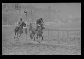 Fotografia "SWEEPSTAKE' Reportagem no Hip. Gávea, Grande Prêmio Brasil (Aprontos dos cavalos, 'Sing-Sing', 'Atramo', 'Cencerro' e 'Semillon' com vistas ao G.P. Brasil de 1963', Reportagem de Wilson Nascimento" ([Local n/d] , 1963) [negativo]. / Fotógrafo(a): Rodolpho.  -- ITEM-0023.