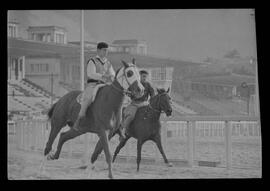 Fotografia "SWEEPSTAKE' Reportagem no Hip. Gávea, Grande Prêmio Brasil (Aprontos dos cavalos, 'Sing-Sing', 'Atramo', 'Cencerro' e 'Semillon' com vistas ao G.P. Brasil de 1963', Reportagem de Wilson Nascimento" ([Local n/d] , 1963) [negativo]. / Fotógrafo(a): Rodolpho.  -- ITEM-0024.