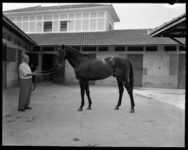 Fotografia "Esporte - Turfe, Repórter: Casal" ([Local n/d] , [Data n/d]) [negativo]. / Fotógrafo(a): [Autoria n/d].  -- ITEM-0006.