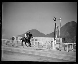 Fotografia "Esportes - Jockey Clube" ([Local n/d] , [Data n/d]) [negativo]. / Fotógrafo(a): [Autoria n/d].  -- ITEM-0004.